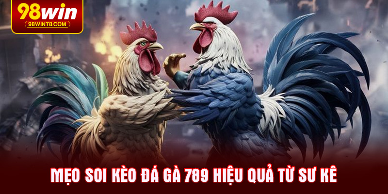 Mẹo soi kèo đá gà 789 hiệu quả từ sư kê